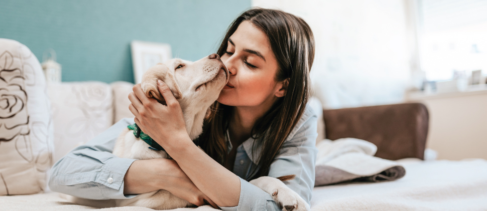 ¿Cómo afectan los días de calor a tu mascota?